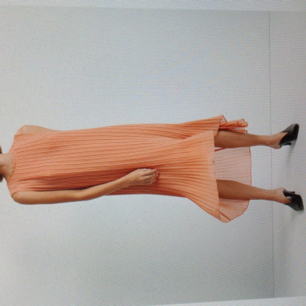 Club Monaco Pleated dress 12